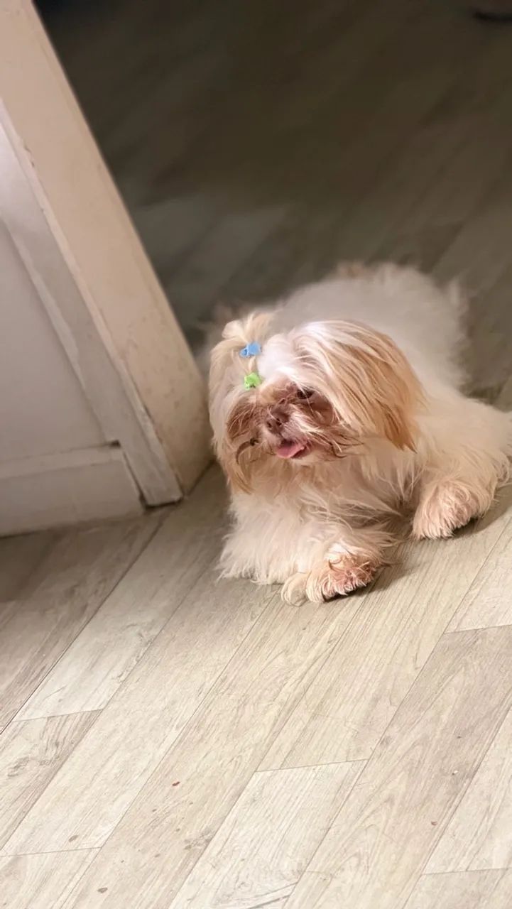 A procura de uma namorada!! (Sou macho)  - Foto 2