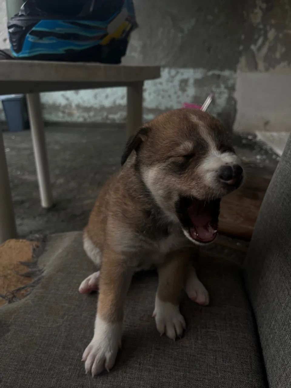 DOAÇÃO RESPONSÁVEL  - Foto 5