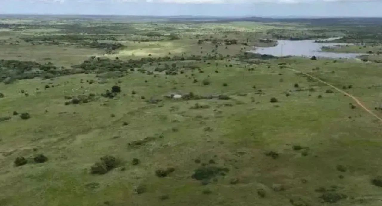 Fazenda Arapiranga a Venda 341 Hectares - Foto 4