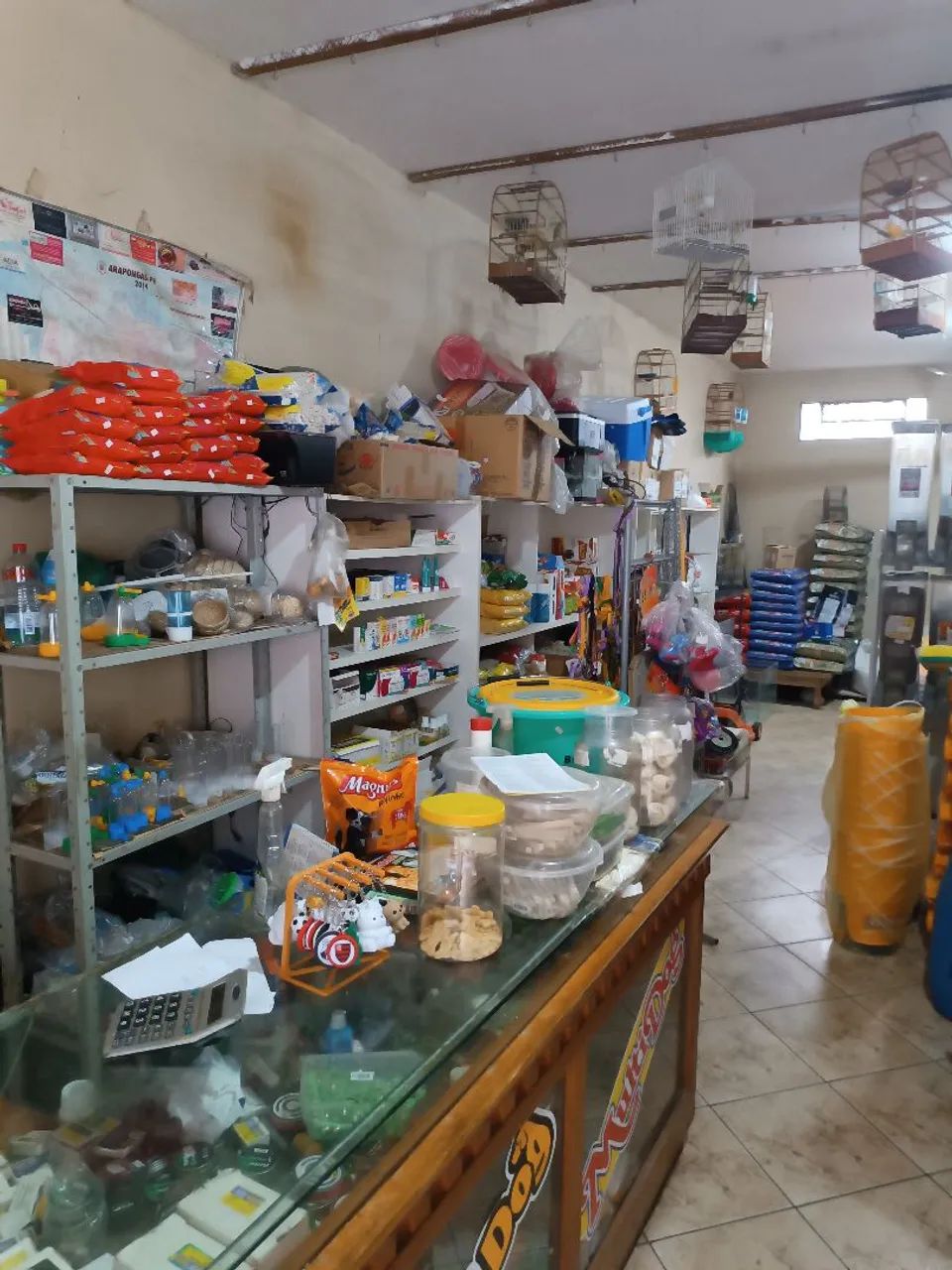 Venda loja de ração agropet  - Foto 4