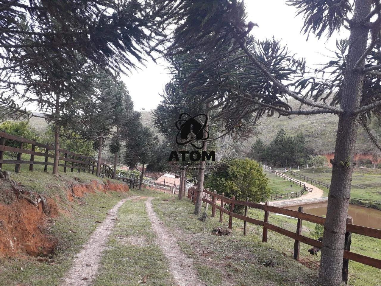 Sítio de 4,9 Alqueires em São Luiz do Paraitinga - Foto 4