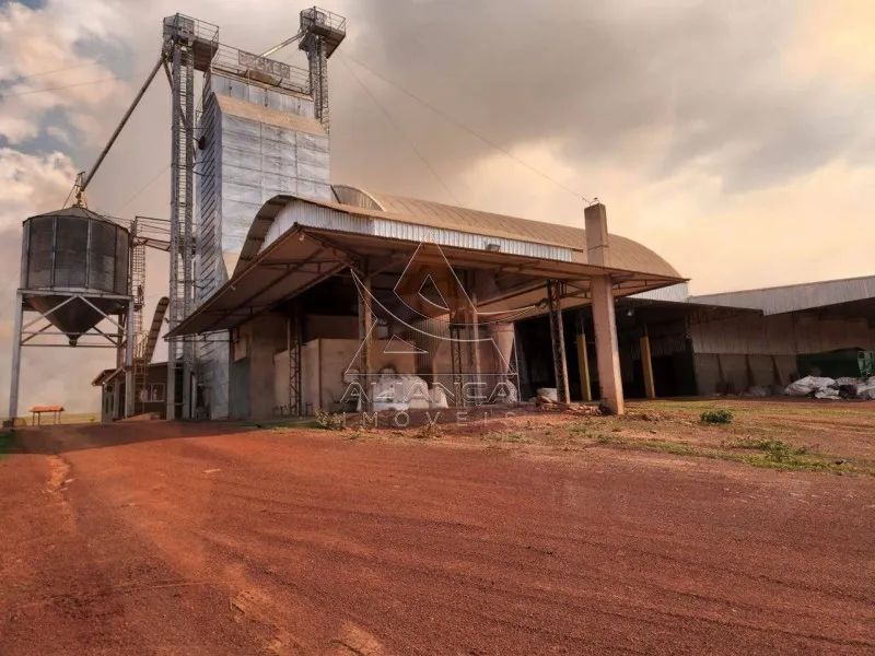 Fazenda - Campinorte - Zona Rural - Foto 3
