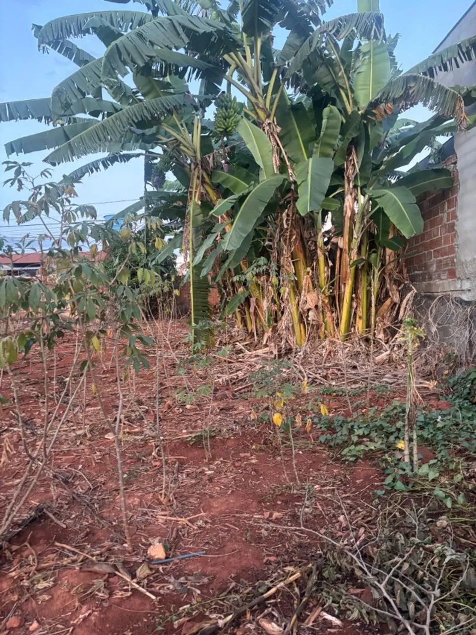Lote para galpão próximo a Bombril - Foto 2
