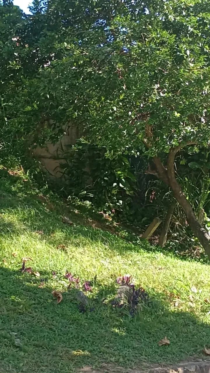 Terreno com dois imóveis Contruido - Foto 5