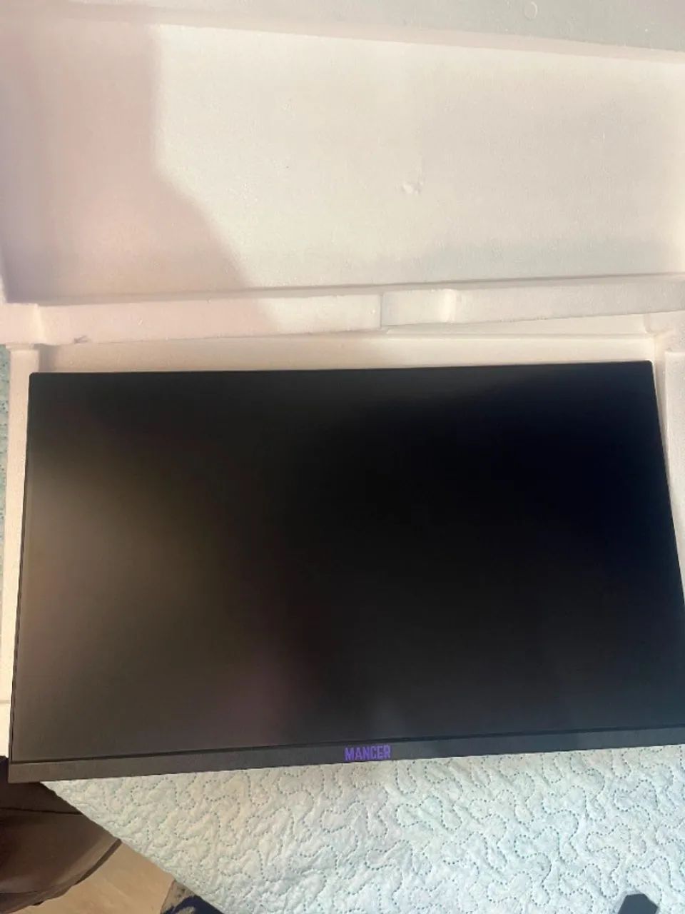 Monitor gamer