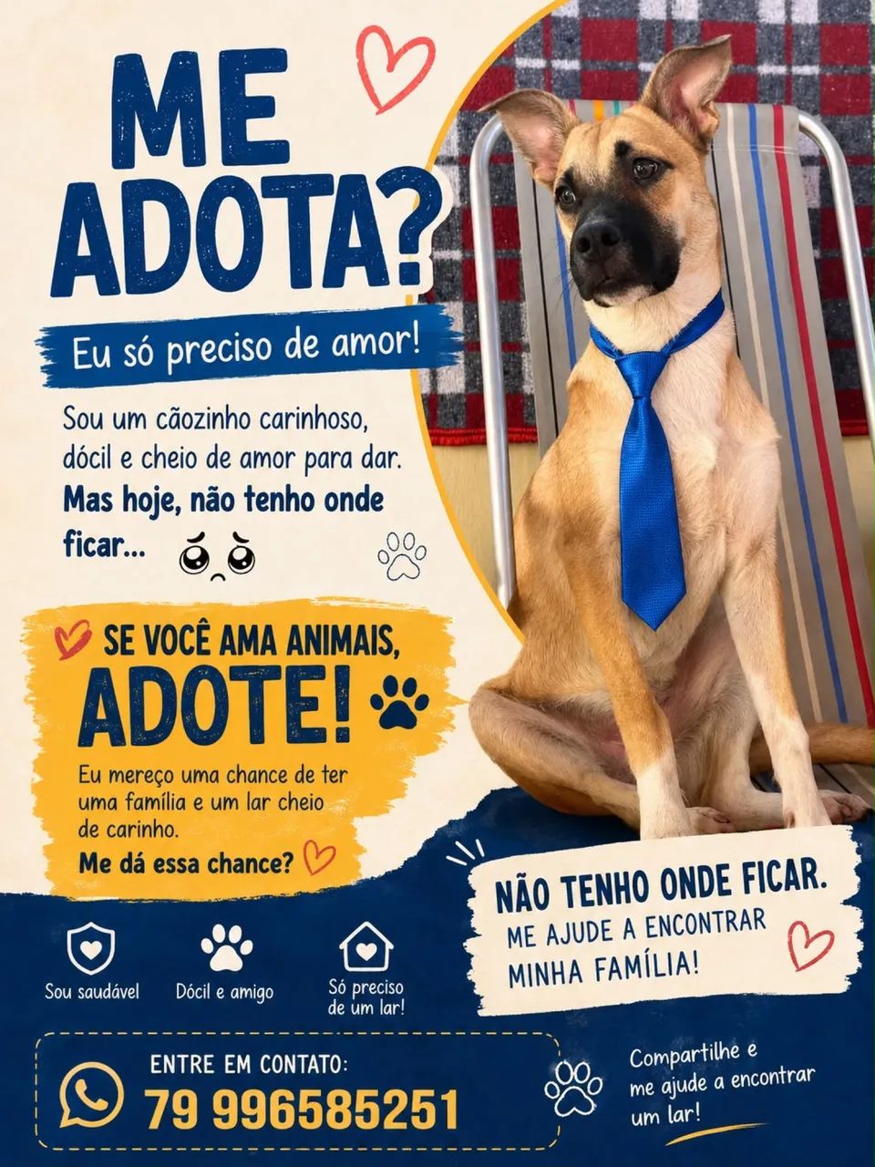 Cachorro para adoção  - Foto 2