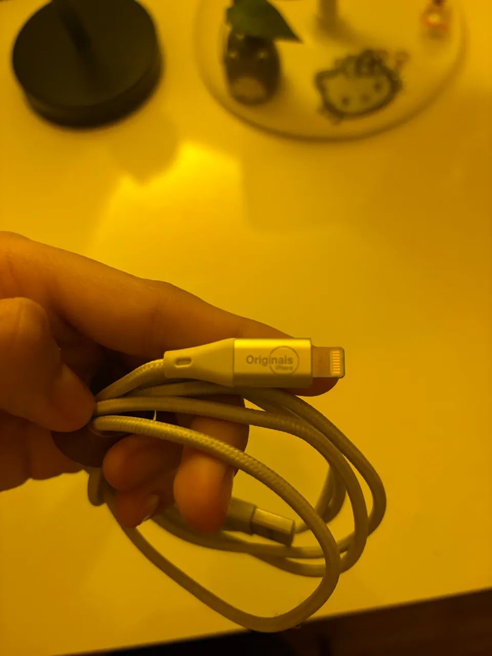 Cabo Lightning iPlace Nylon Resistente + Organizador