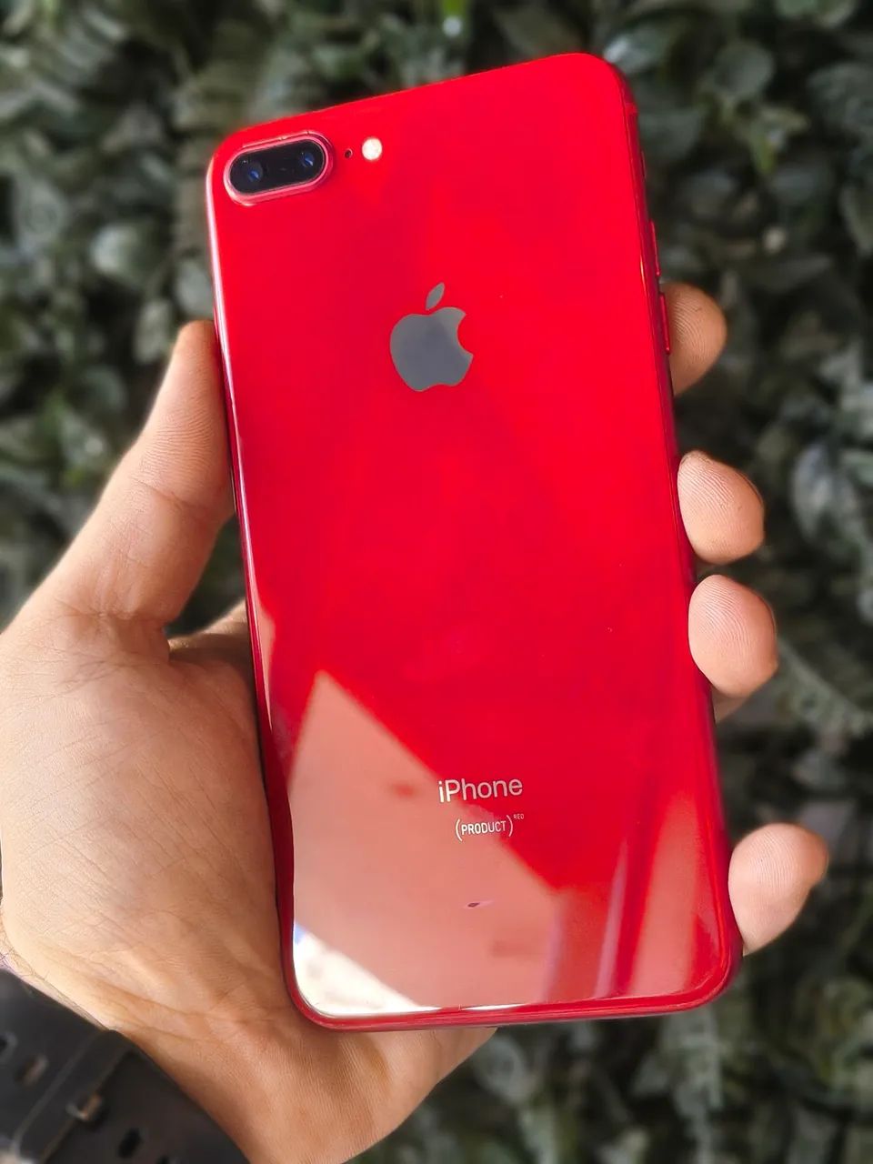 iPhone 8 plus REDQUICK