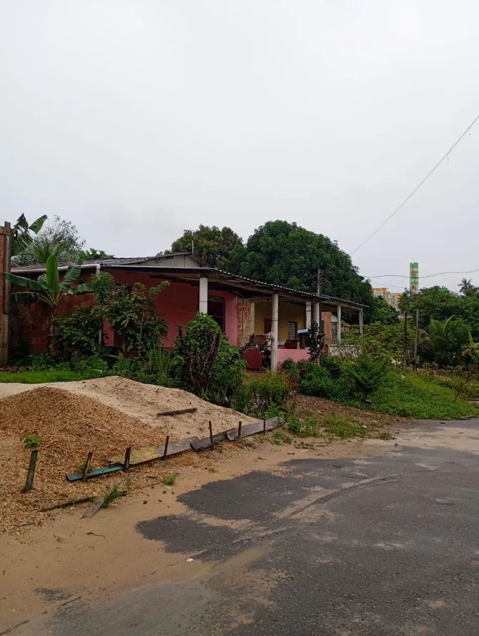 Foto - Manaus - Tarumã-Açu