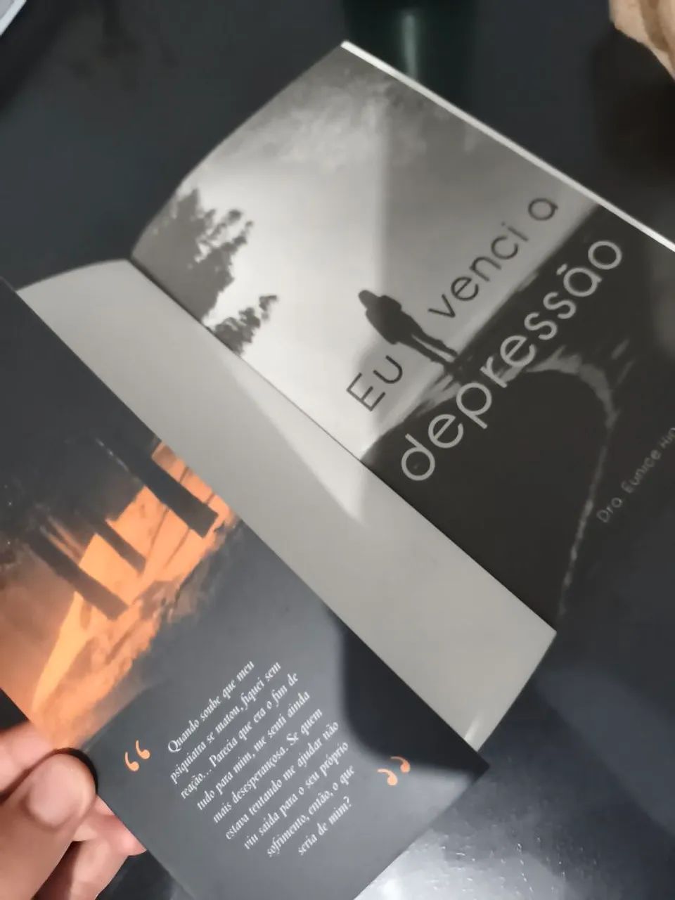 Eu Venci a Depressão: O guia de superação escrito pela Dra. Eunice Higuchi - Foto 2