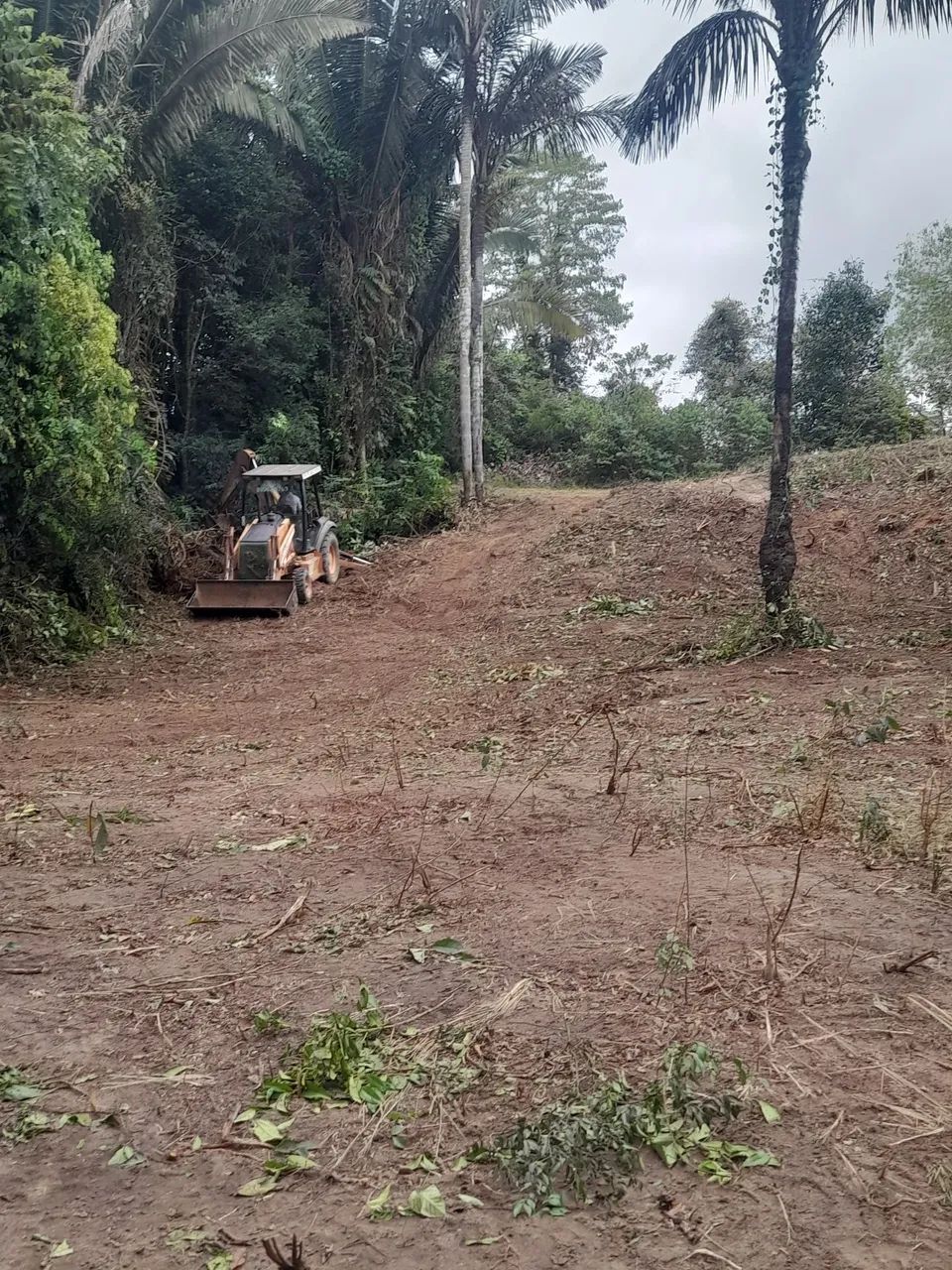 Chácara  - Foto 5