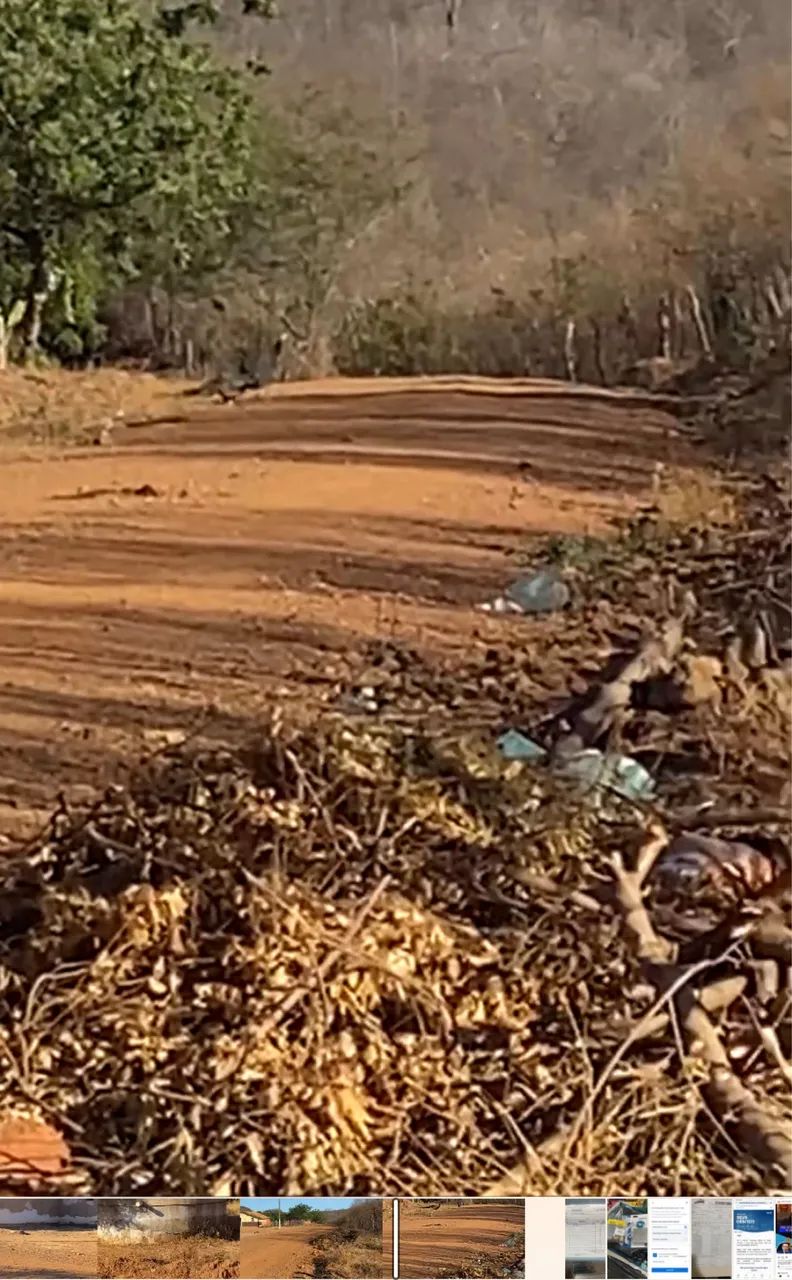 Terreno excelente para uma chácara, com casas vizinhas  - Foto 4