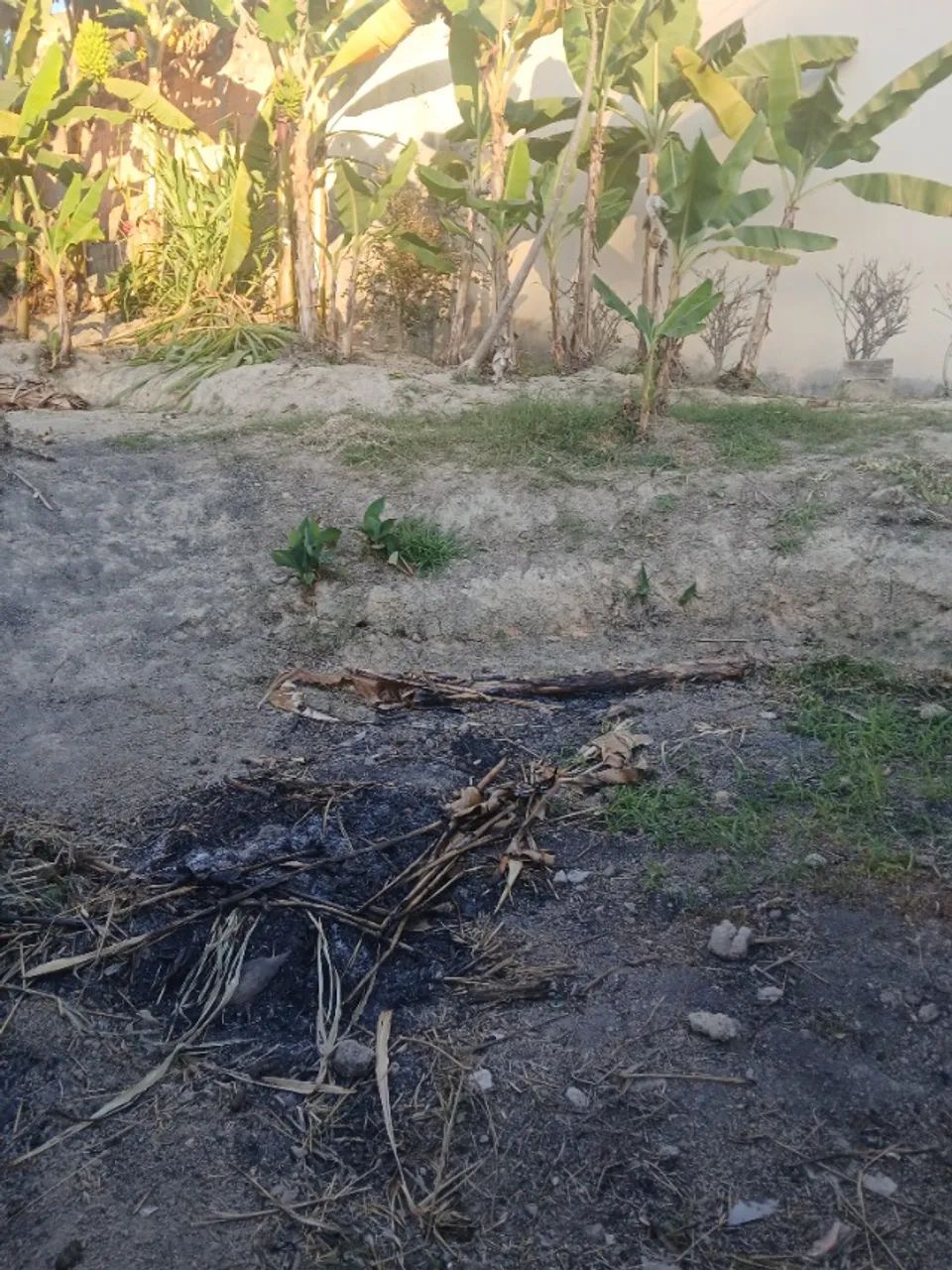 TERRENO 180m² - Foto 2