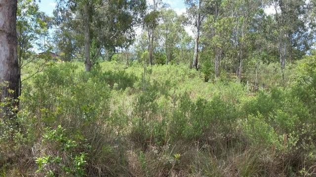 B a r b a d a 1200m² no Country Club - Foto 3