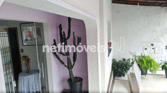 Casa à venda com 3 dormitórios em Carlos prates, Belo horizonte cod:706905 - Foto 8