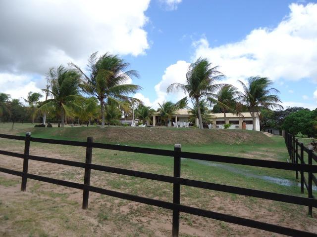 Vendo Fazenda em Ceará Mirim - Foto 2