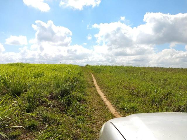 Fazenda com 180 Hectares a 8 km da Pista de Cortês-PE