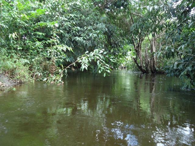 Vendo Fazenda em Ceará Mirim - Foto 8
