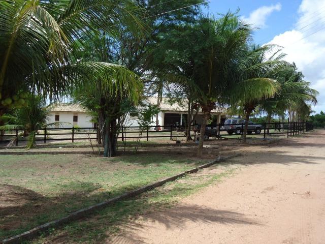 Vendo Fazenda em Ceará Mirim - Foto 5