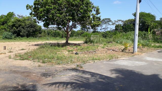 Terreno 100% plano em cajazeiras Boca da Mata - Foto 2