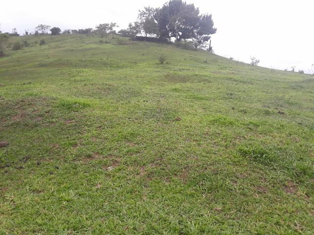 Belíssimo sítio em Cachoeiras de Macacu RJ 122 oportunidade!!!!! - Foto 4