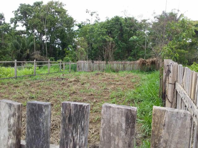 Terreno