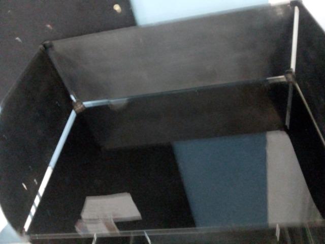 Excelente vitrine!