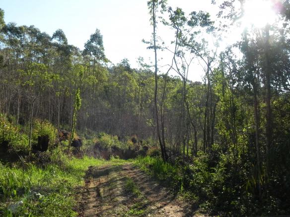 Agt-ótimo terreno para construir chacará na região de Mairiporã - Foto 19