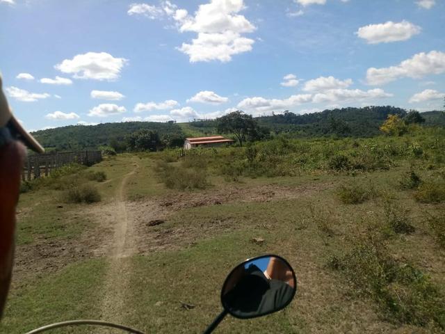 Vendo excelente fazenda / maranhão - Foto 6