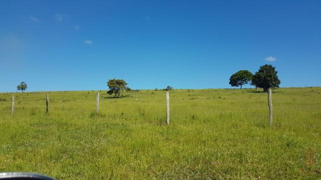 Maravilhosa fazenda em barrolândia, belmonte - ba com 809 hectares... - Foto 4