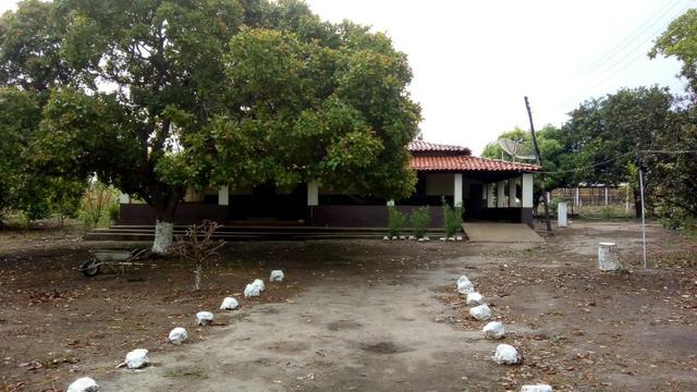 Propriedade Rural/São Gonçalo do Piauí - Foto 2