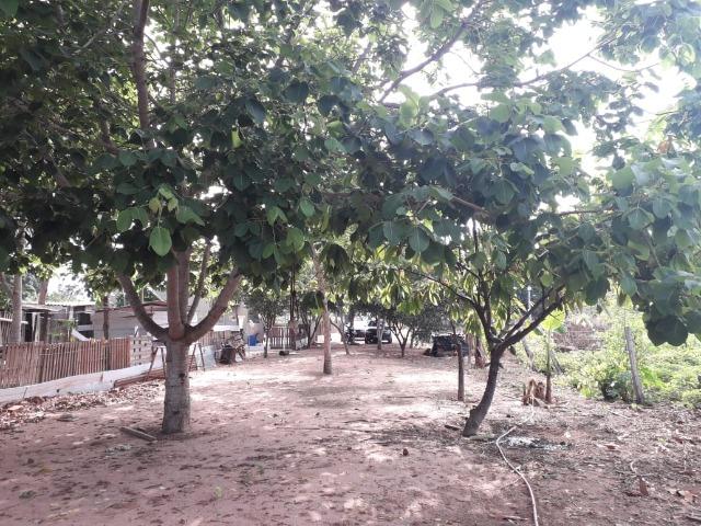 Vende-se uma chácara com 2 casas 2400m2 - Foto 8