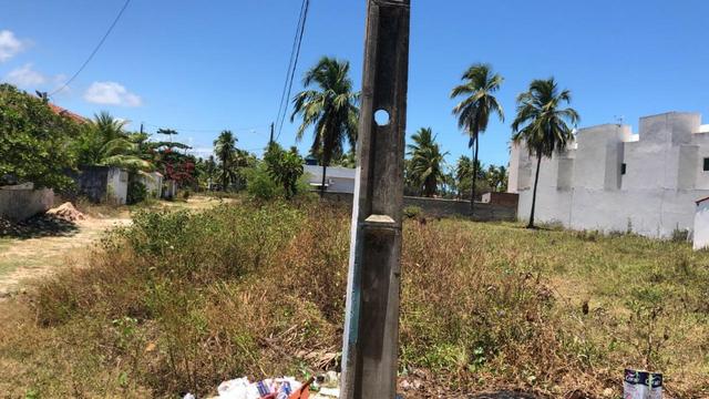 Lote em tamandaré à menos de 100m da praia - Foto 2