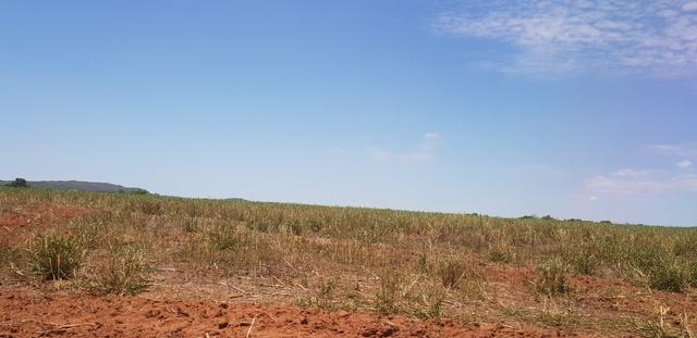 Fazenda em Rio Verde 28 alqueires | 170 mil | Valor de Oportunidades - Foto 5