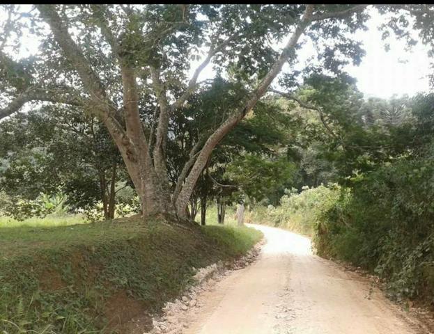 Terreno rural - Foto 4