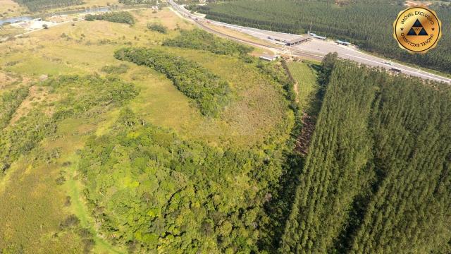 TERRENO à venda, 90.000,00M² por R$4.500.000,00 - MORRO GRANDE - BARRA VELHA/SC - Foto 20