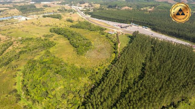 TERRENO à venda, 90.000,00M² por R$4.500.000,00 - MORRO GRANDE - BARRA VELHA/SC - Foto 16