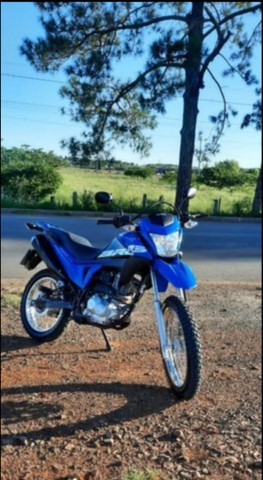 VENDO BROS 2020