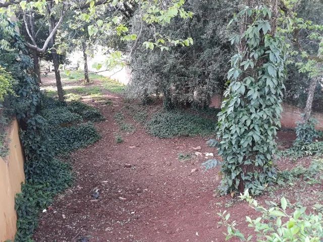 Vende-se ótimo terreno na Rua do Comércio/Avenida das Nações em Ijuí/RS - Foto 2
