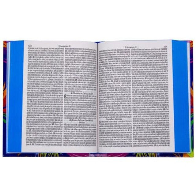 Bíblia Média Leão Aquarela H. e Corinhos Capa Dura