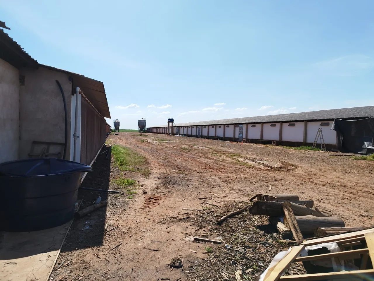 Sítio 10 alqueires Ângulo-pr com 2 barracões de frango - Foto 5