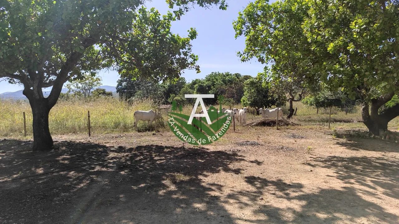 Fazenda no Faina GO 38 alq - Foto 2
