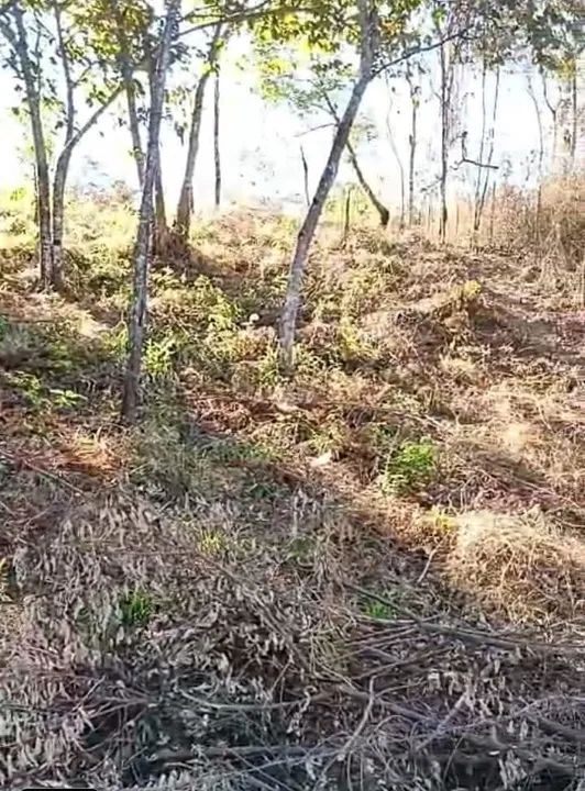 foto - Ribeirão das Neves - Labanca (Justinópolis)