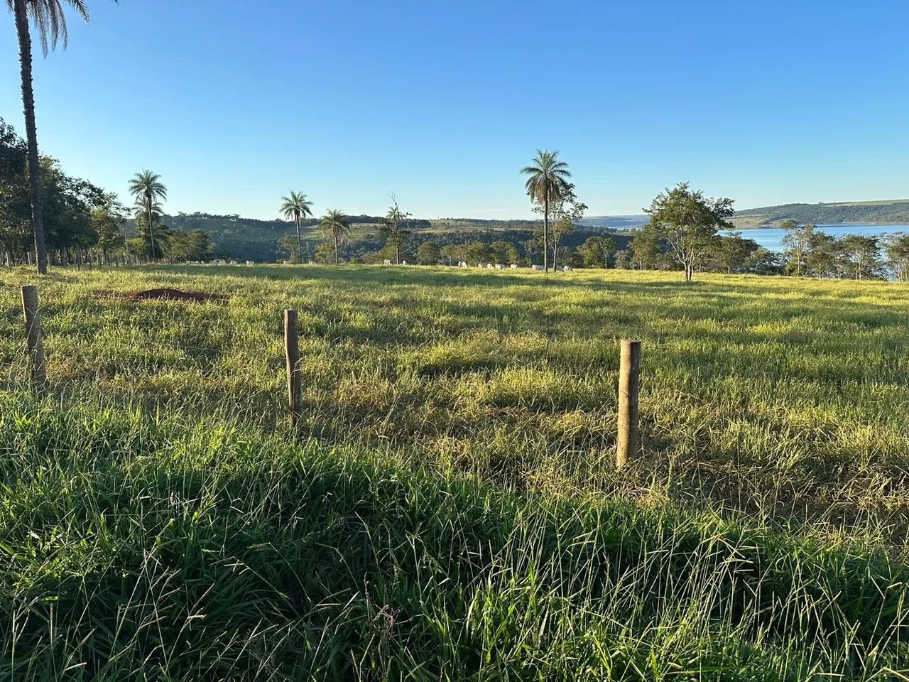 Sítio em nova ponte excelente pra loteamento  - Foto 3