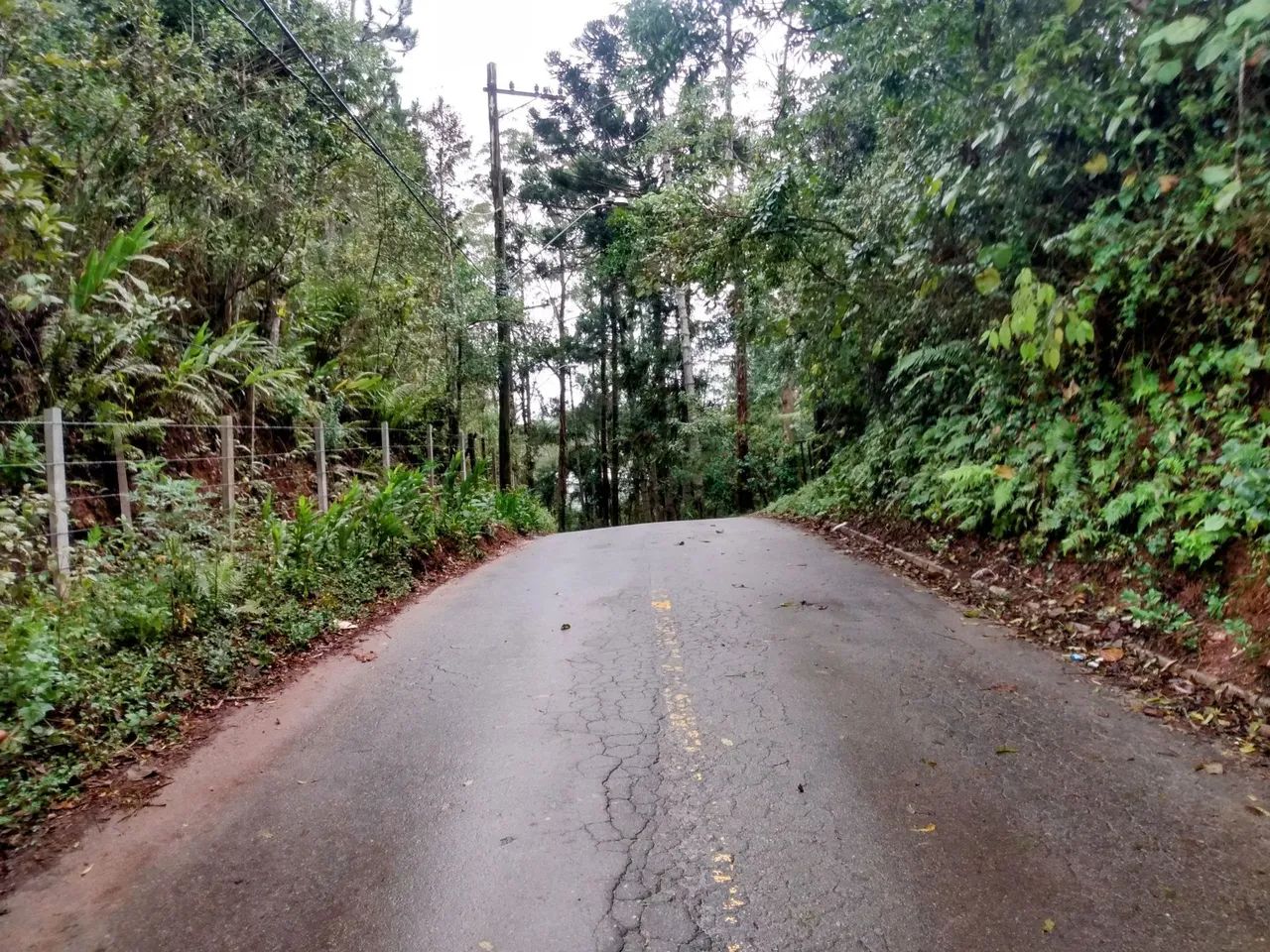 Área 37.650 m2 Embú Guaçu/Parelheiros  - Foto 4
