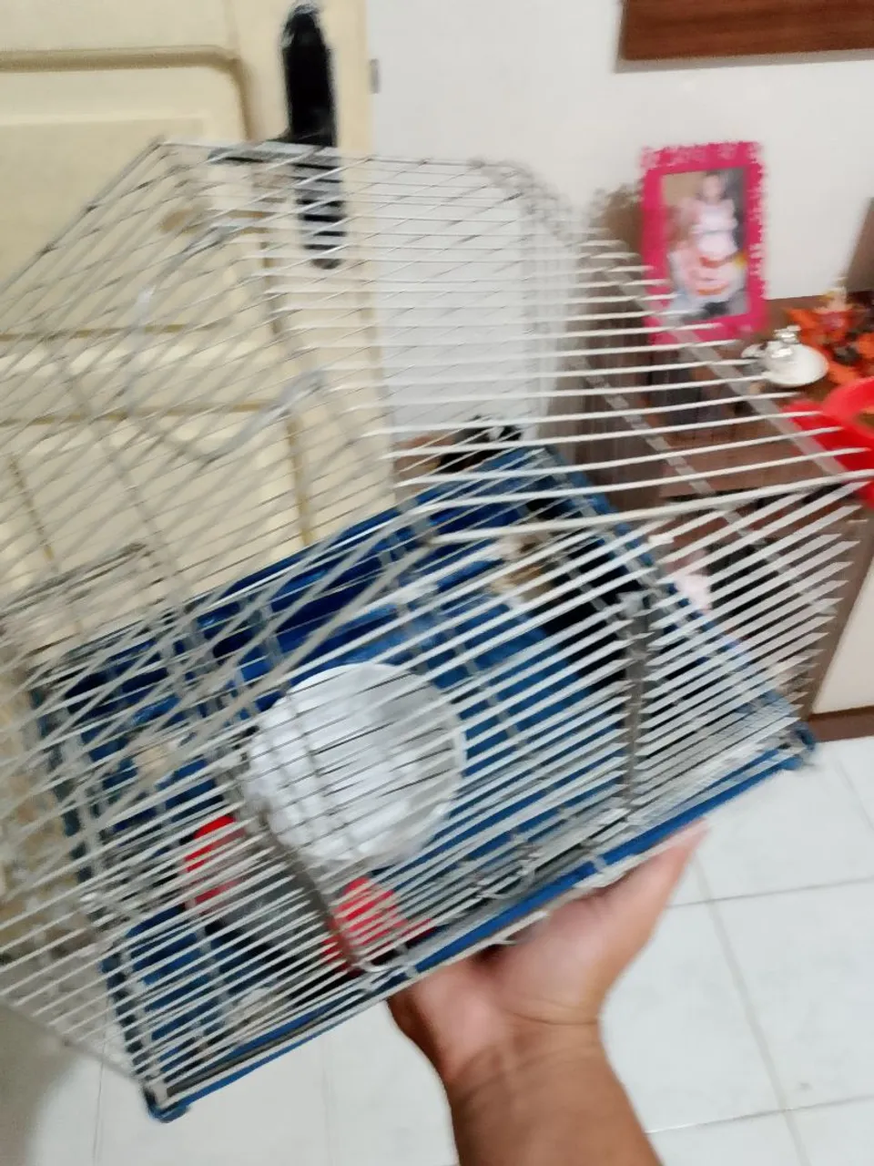 Gaiola para hamster 