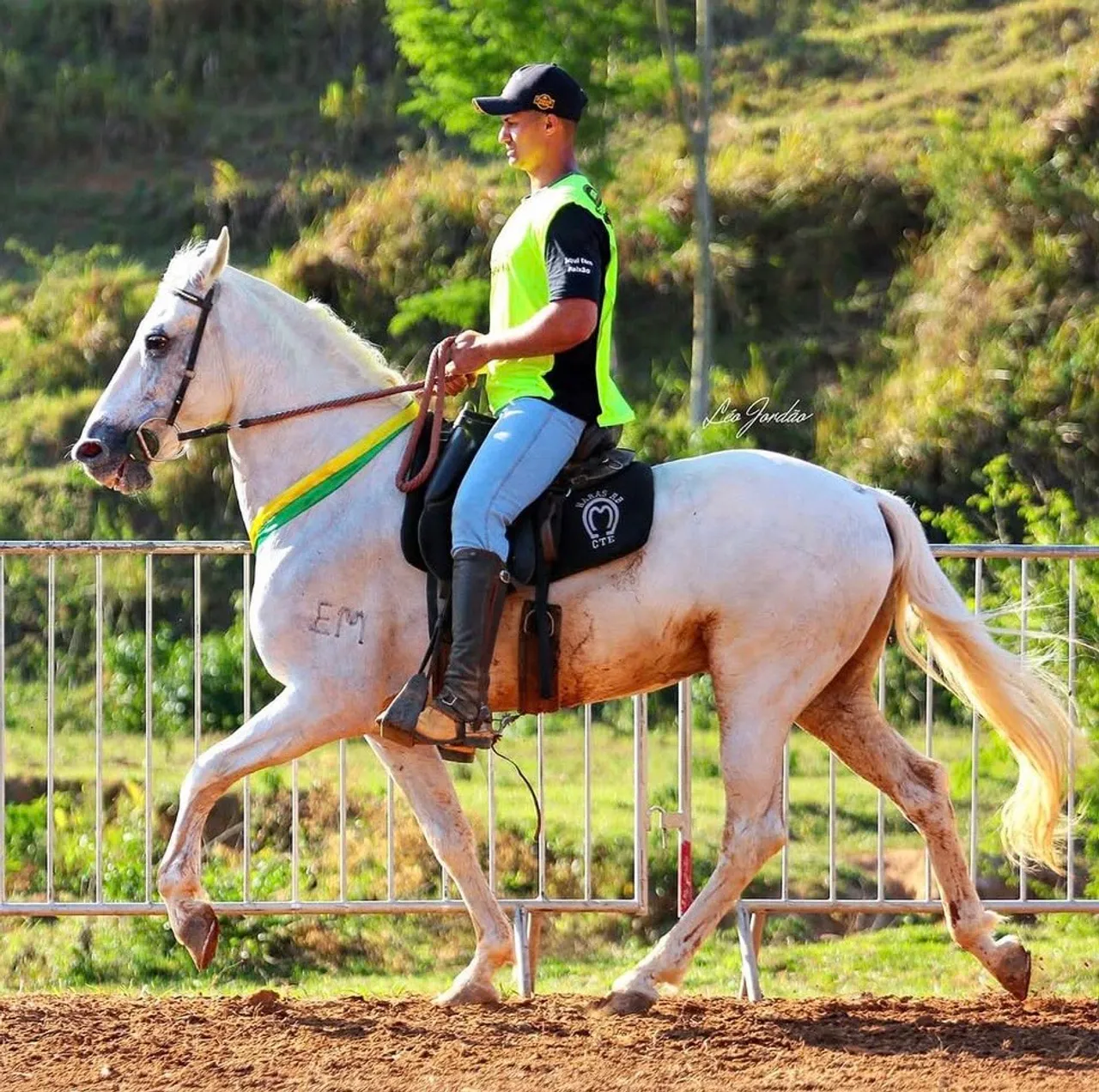 Castrado top de Marcha Picada
