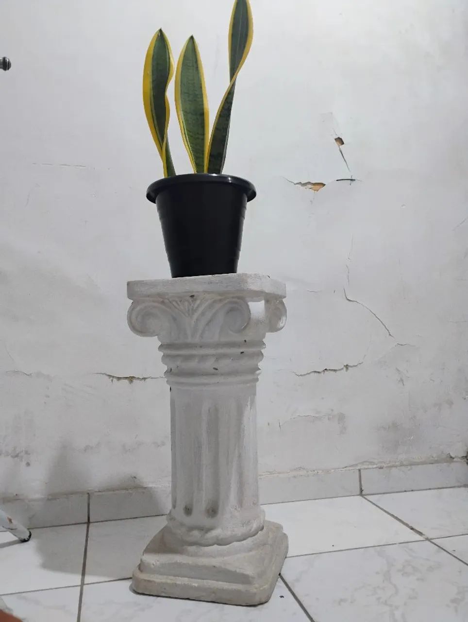 Conjunto vaso e pedestal para plantas