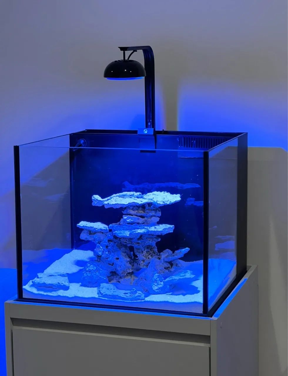 Luminária cetus 2 aquário marinho 84w