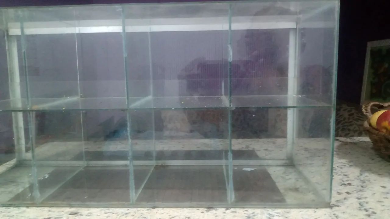 Vitrine Expositora de Vidro com Prateleiras Baleiro.  - Foto 2